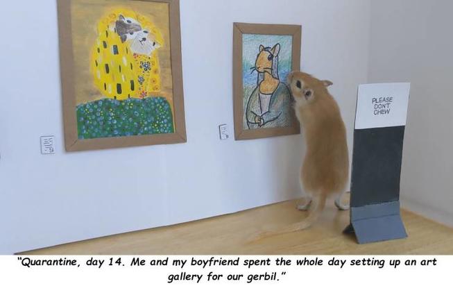 hudznnii.jpg