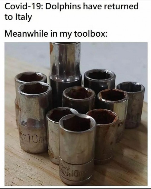 qnlhabe5.jpg