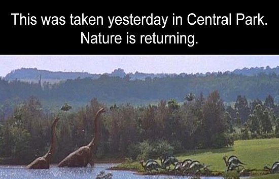 cso6ycxu.jpg