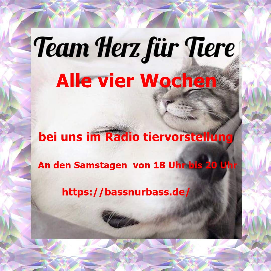 Kostenlos Bilder und Fotos hochladen