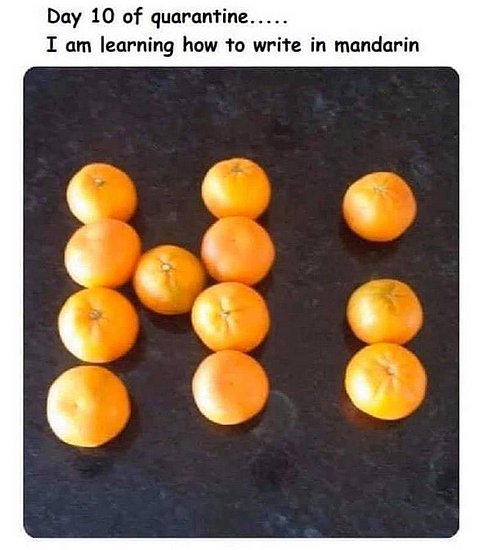 x5w9hxrl.jpg