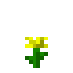 yellow flower