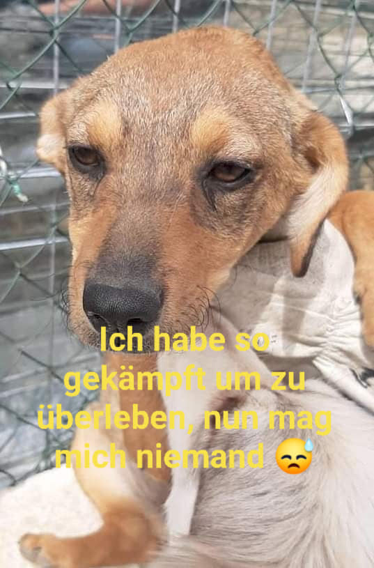 Kostenlos Bilder und Fotos hochladen