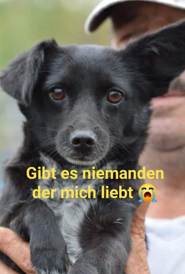 Kostenlos Bilder und Fotos hochladen