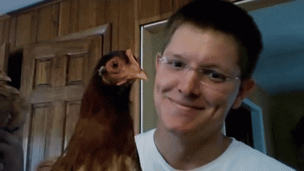 in7z75zu.gif