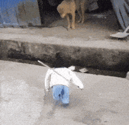 jk4vth8u.gif