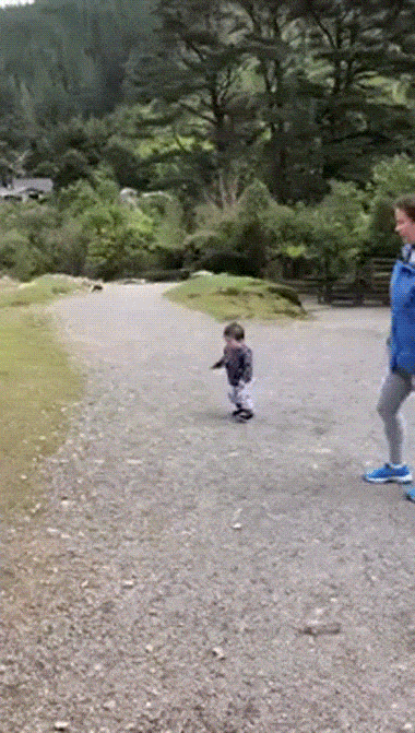 sanrpc3x.gif