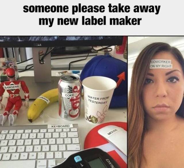 pfmlab36.jpg