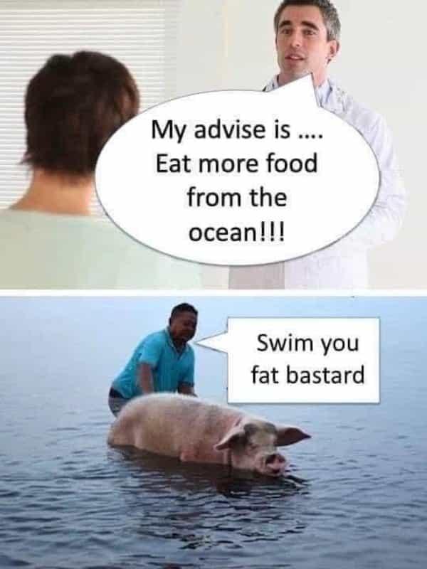 xhrpvsfc.jpg