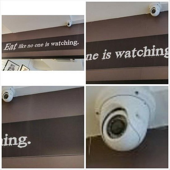 pnicdkdl.jpg
