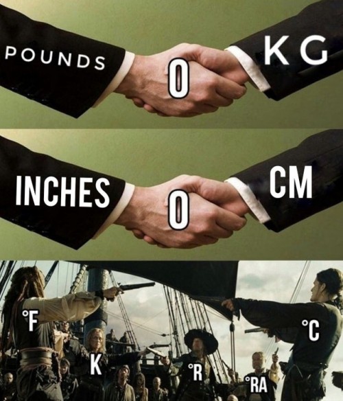 wnzs8dtx.jpg