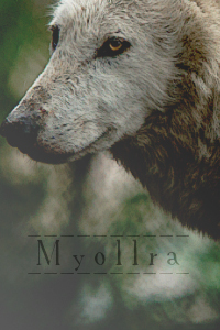 Myollra