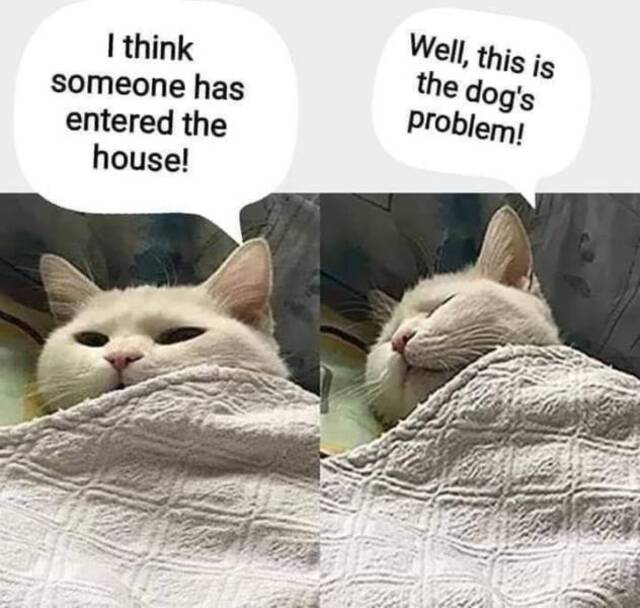 mzdcxen5.jpg