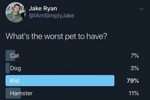 rpqb3t7b.jpg