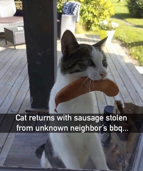 nmarexdb.jpg