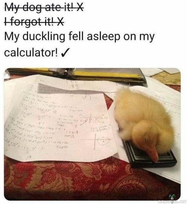 uoar3mto.jpg
