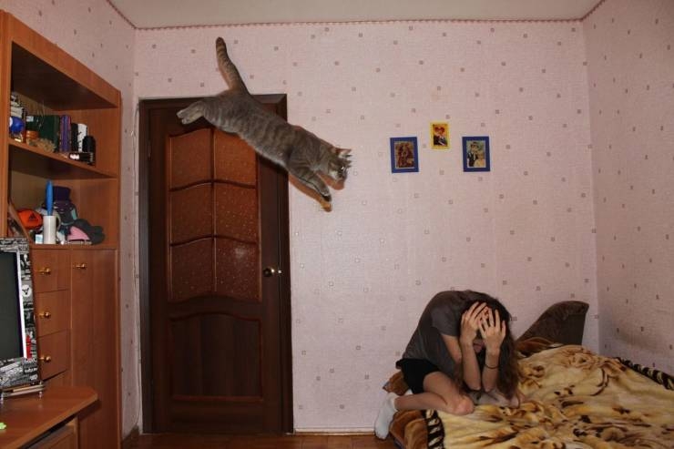 hqimu5ut.jpg