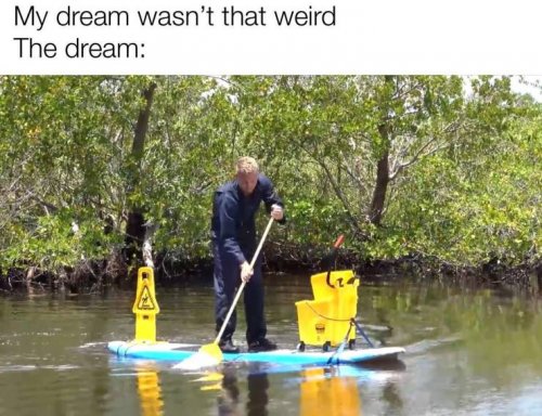 j3mjv3pu.jpg