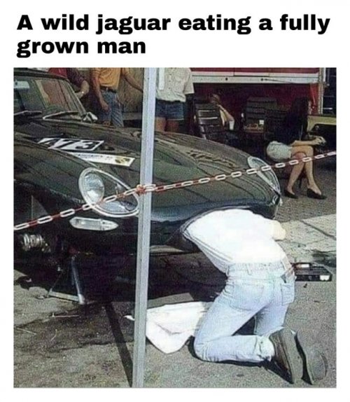 vboy2ccl.jpg