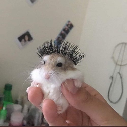 vy36vjmw.jpg