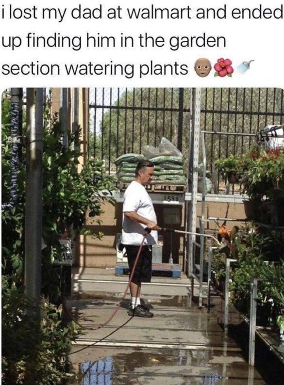 3e2j35zy.jpg