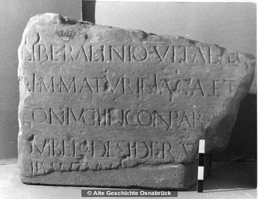Übersetzungen alter Lateinischer Inschriften - Seite 25 Cjpuokin