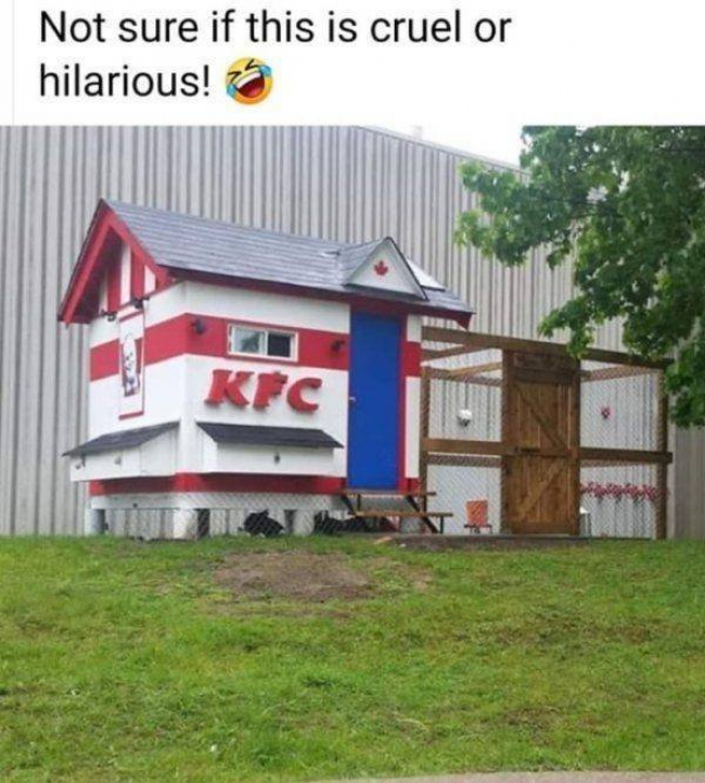 zd5tmecg.jpg