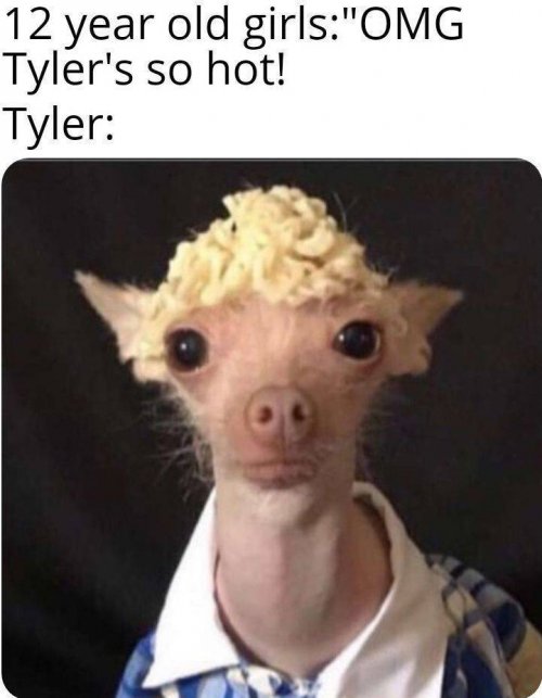 vo73jiqq.jpg