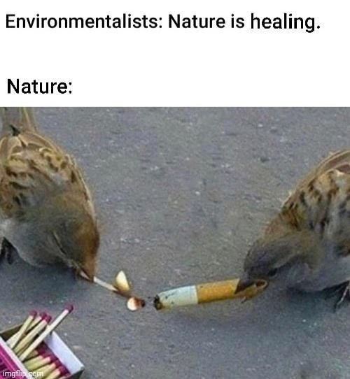 9w4kkv8f.jpg