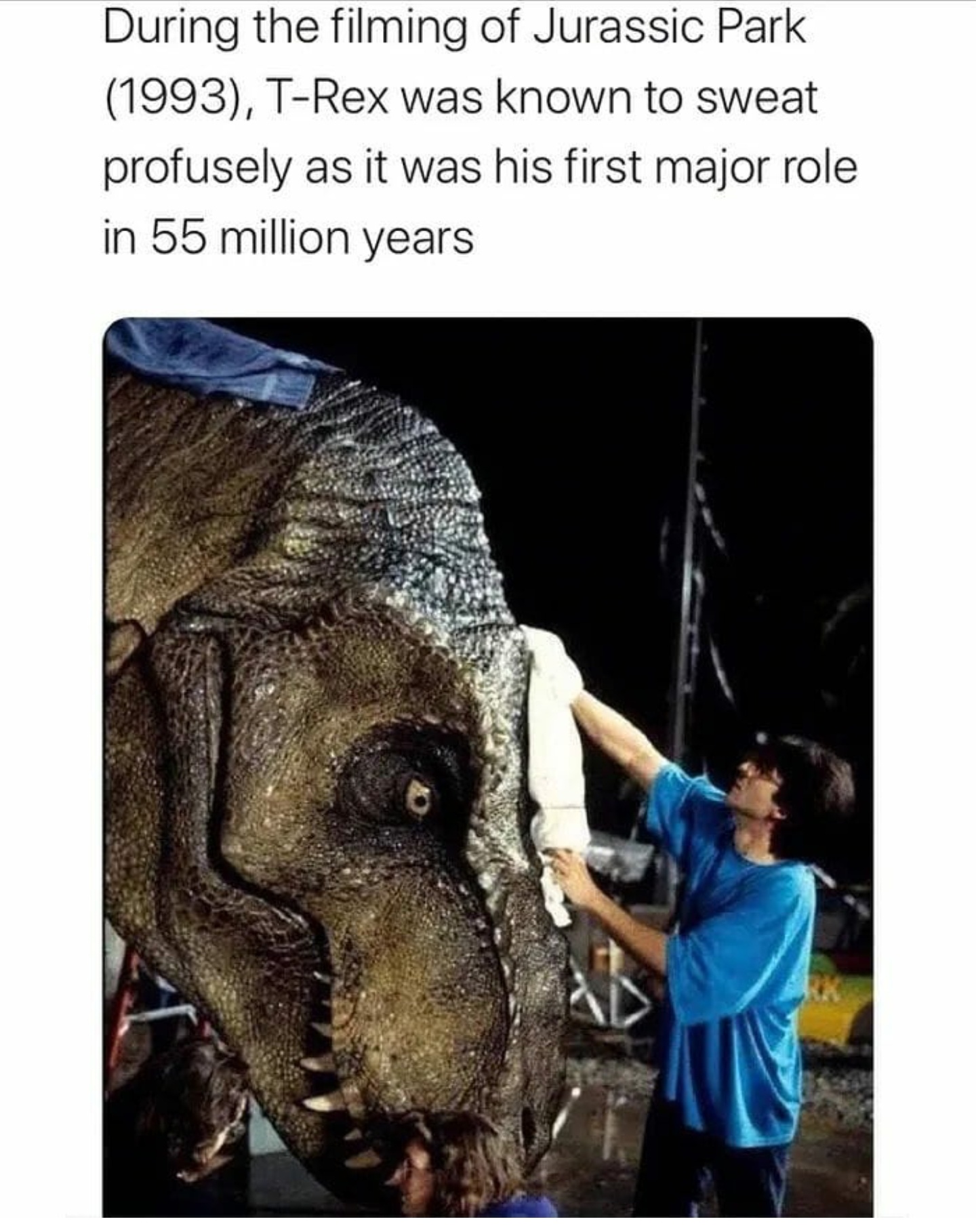 gdsa9mh2.jpg