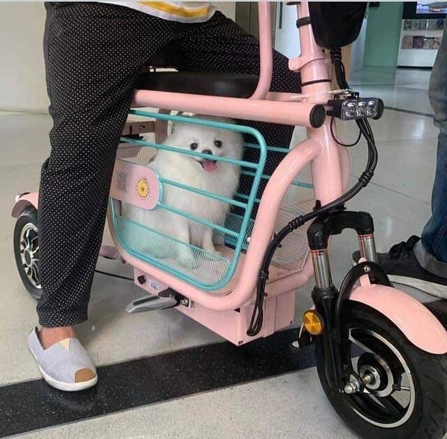 dkfwzm6a.jpg