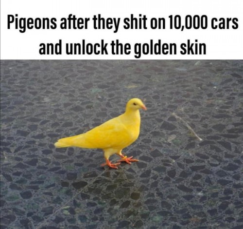 gtnu5ym2.jpg