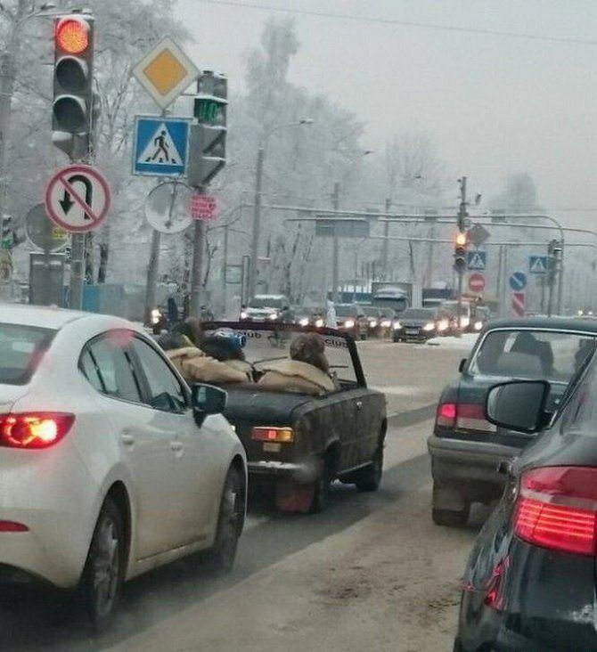 ay9zsyi9.jpg