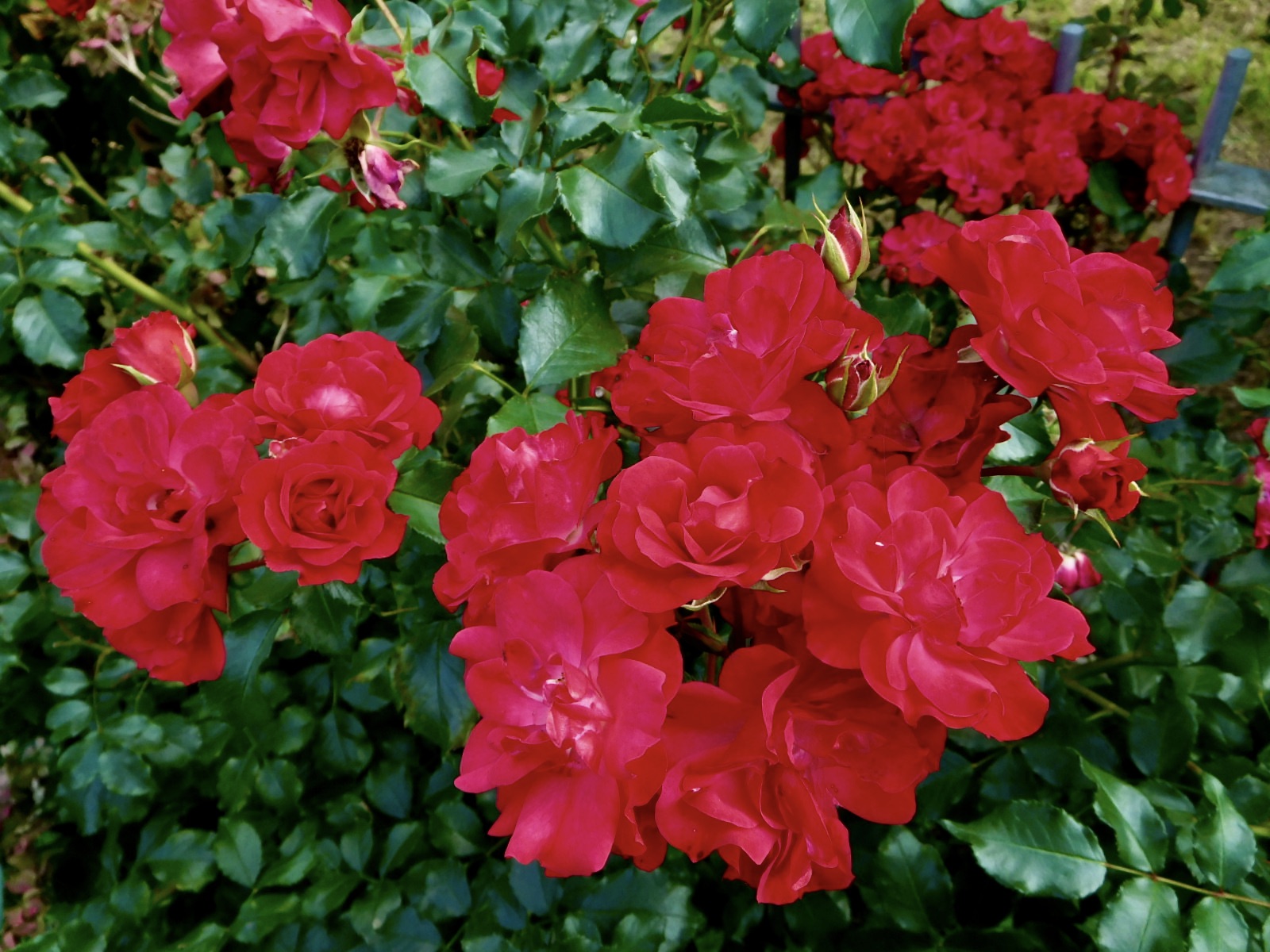 https://s12.directupload.net/images/200910/buw6reur.jpg