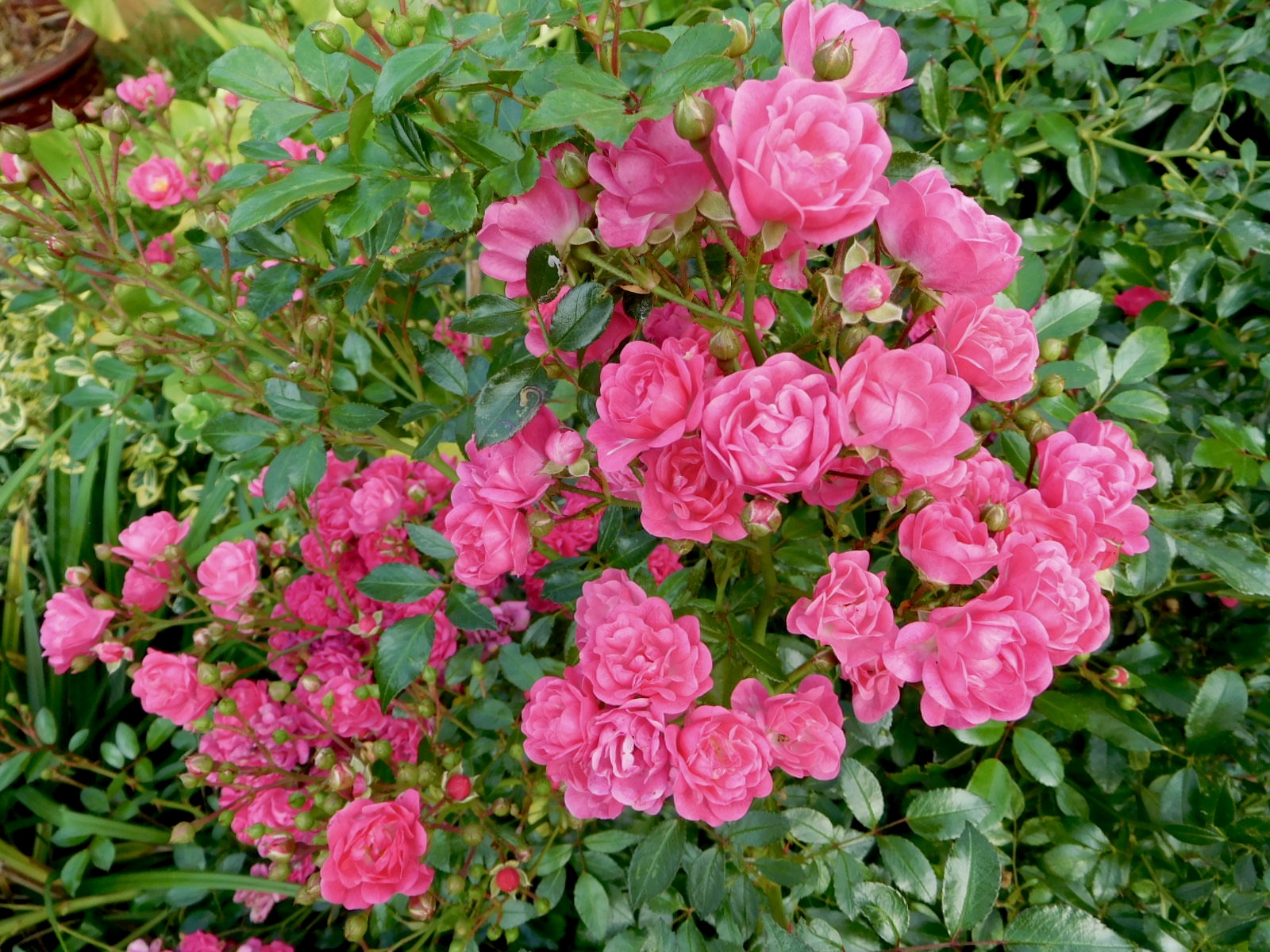 https://s12.directupload.net/images/200910/d4guf9zu.jpg