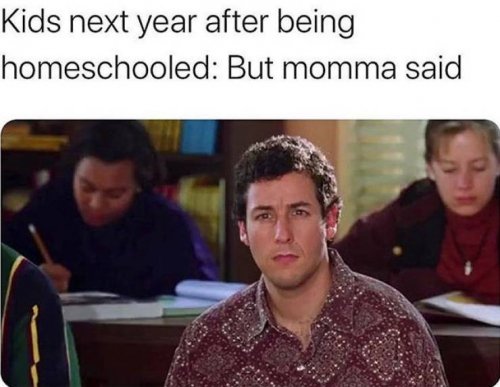 yyxwspsv.jpg