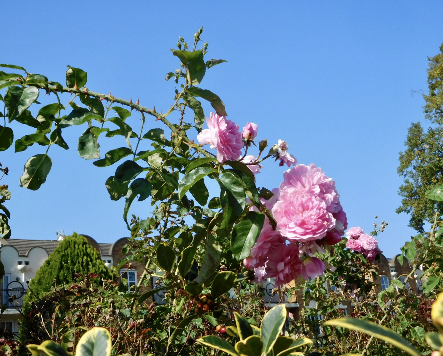 https://s12.directupload.net/images/200916/pqec273o.jpg