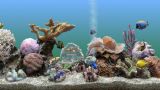 SereneScreen Marine Aquarium 3.3.6381 + Rus