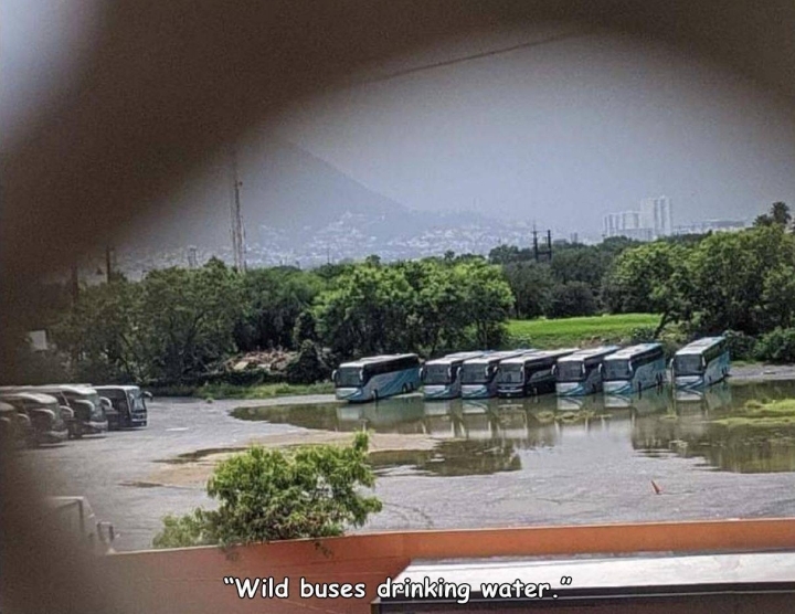 qnsg5qz5.jpg