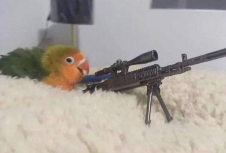 uge7ggf2.jpg