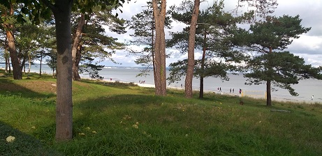 Kostenlos Bilder und Fotos hochladen