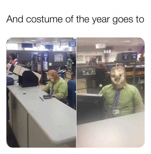 qj35o7fo.jpg