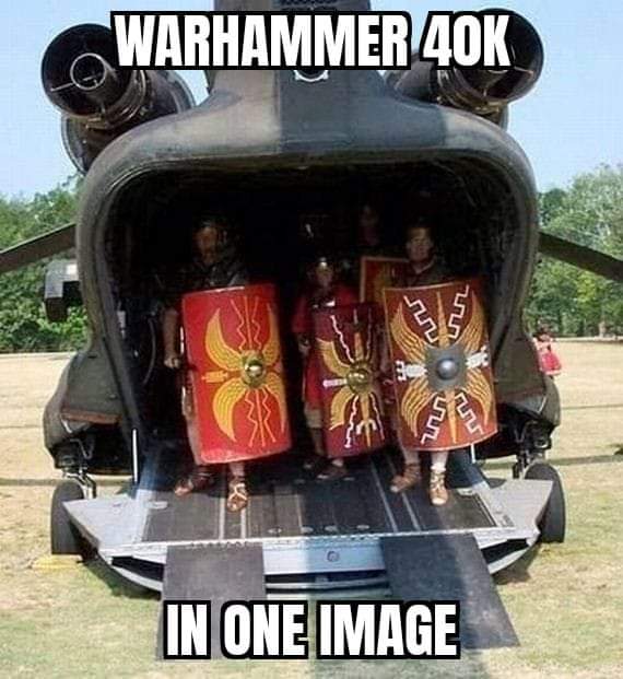 tl444wvb.jpg