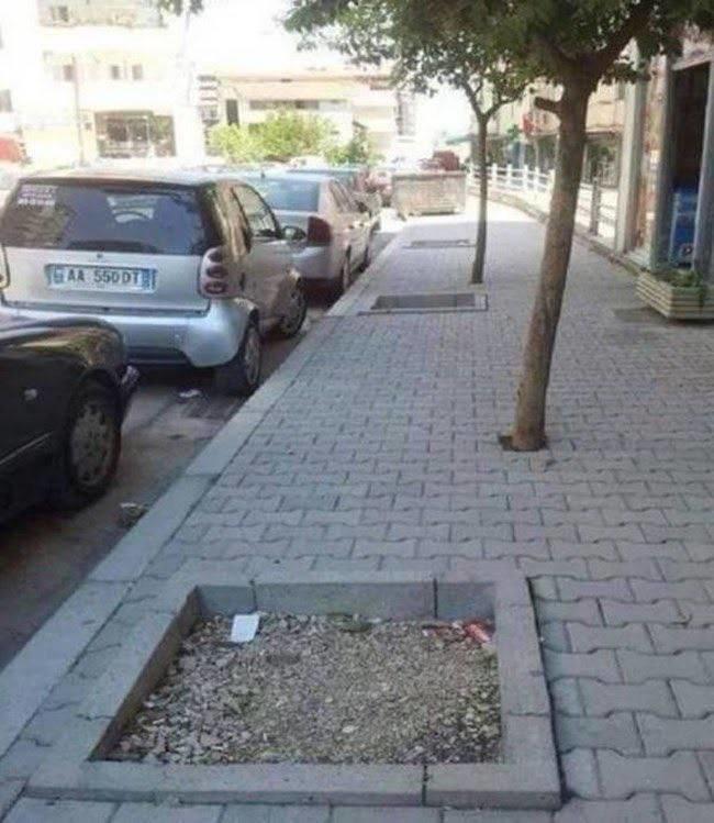 lc6lslfk.jpg