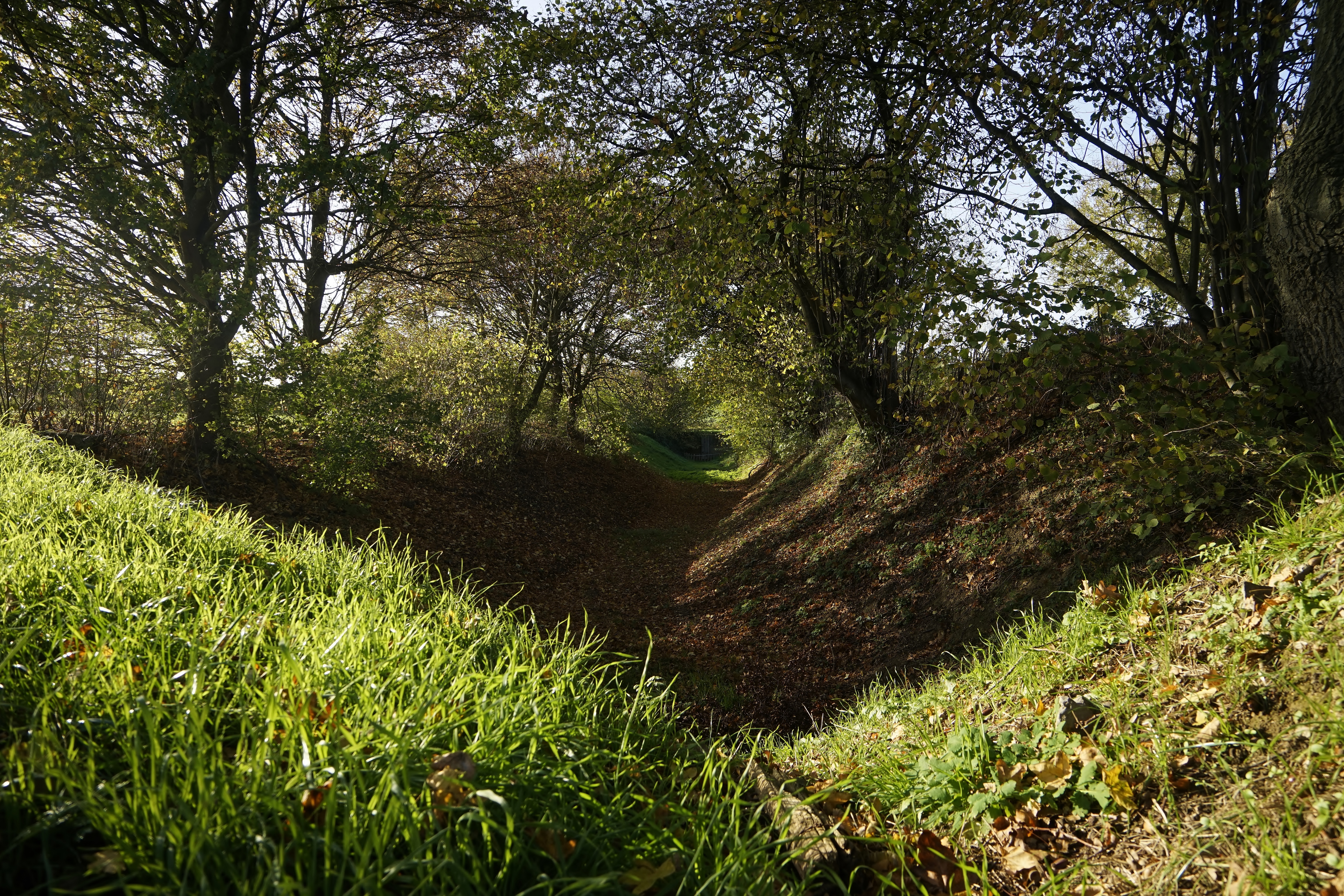 Ransdaal07-11-2029 003 (2).jpg