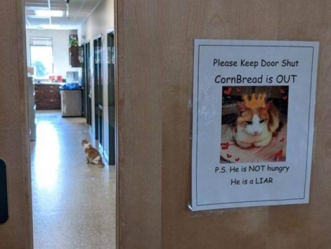 rrqhsbc9.jpg