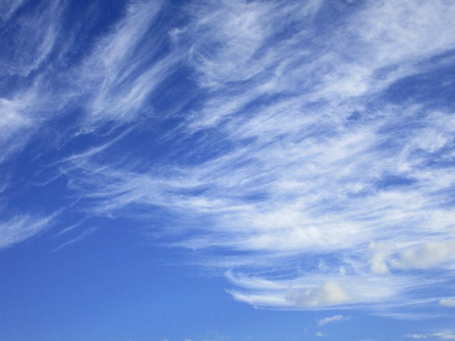 https://s12.directupload.net/images/201112/cibo8p2p.jpg