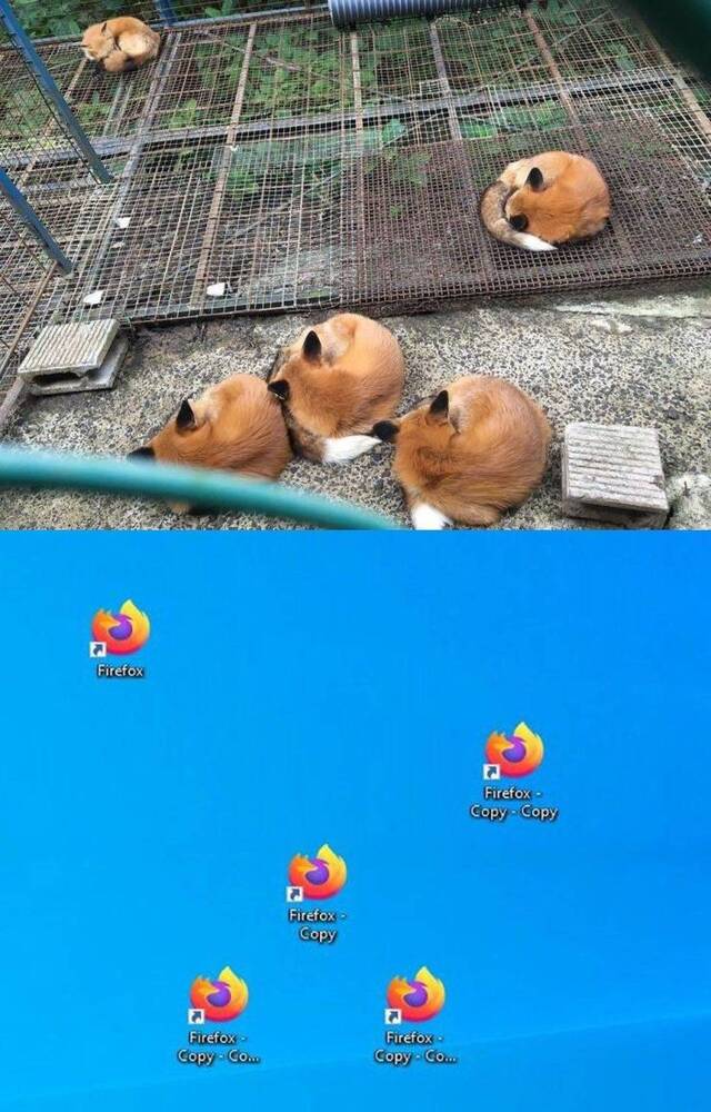 cm7wbwji.jpg
