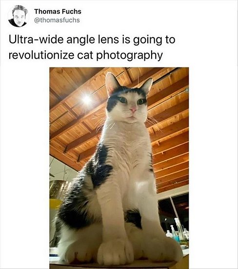 f244knfe.jpg