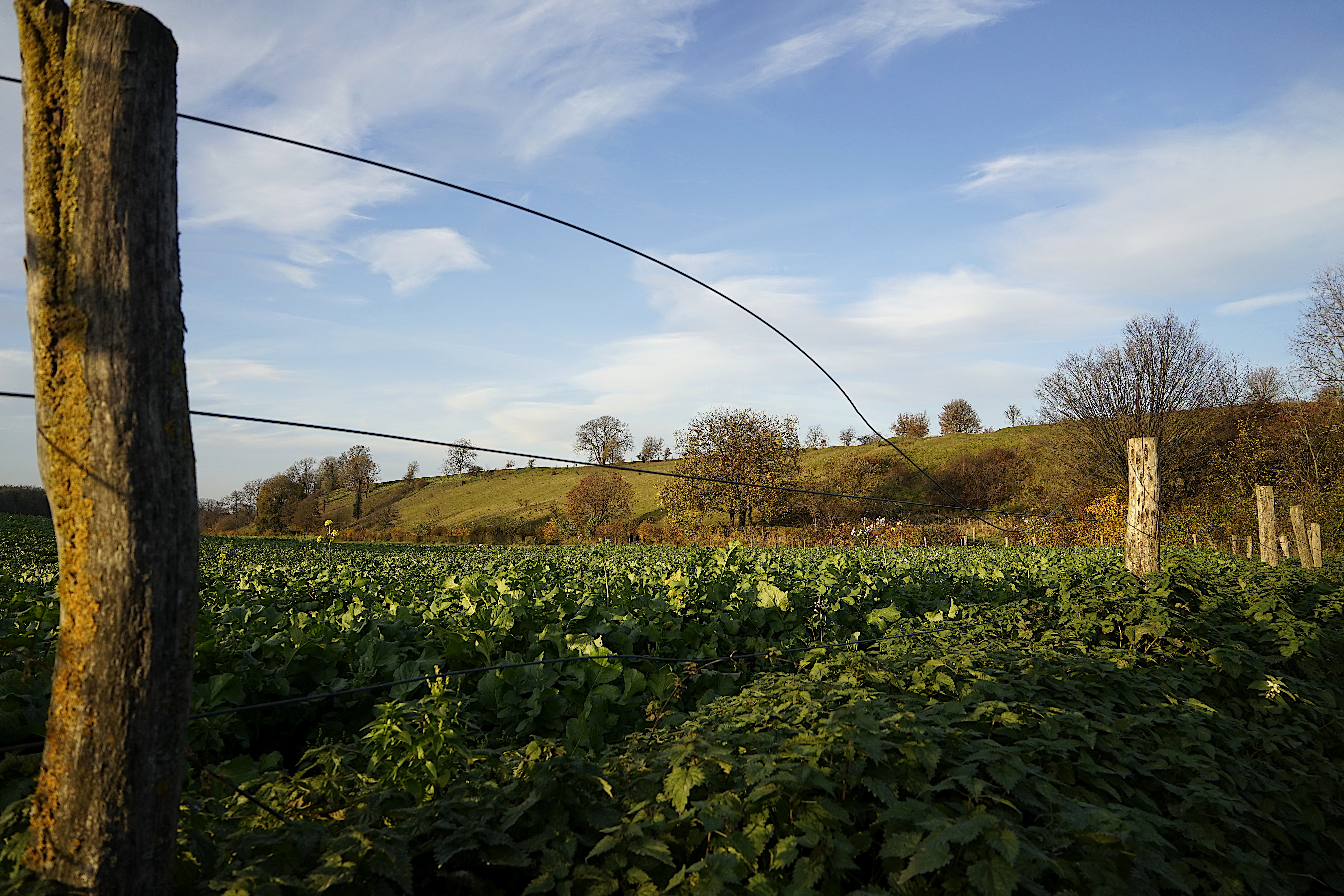 Kunderbergnr714-11-2020 002.jpg